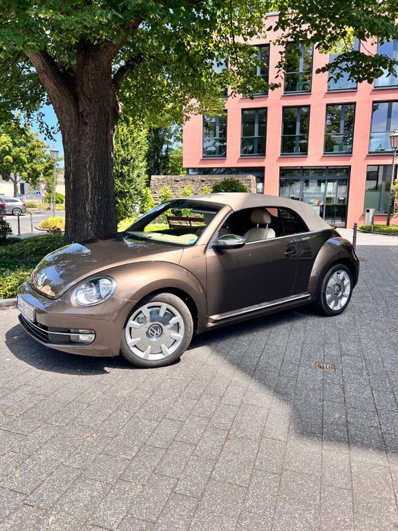 Beetle