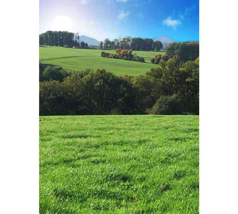 Grundstück zu verkaufen in Buchholz 367.000 € 1782 m²