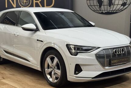 Audi e-tron 99.400 km 29.999 &euro; Rastede/ Wahnbek 26180