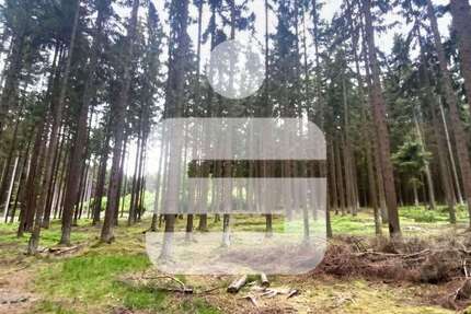 Grundstück Schönsee - 150.000&euro; | Angebot:26733074