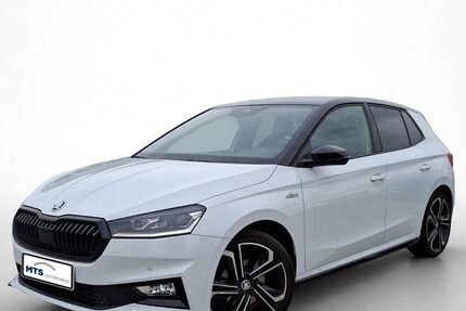 Skoda Fabia 30.907 km 20.150 &euro; Friedberg 61169