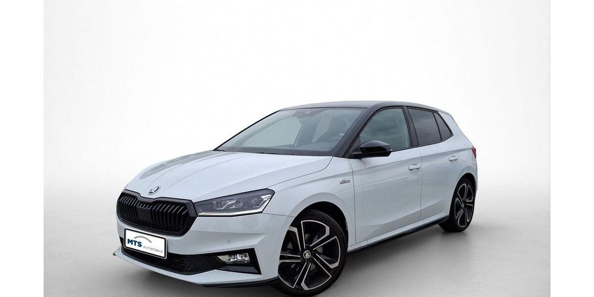 Skoda Fabia 30.907 km 20.150 &euro; Friedberg 61169