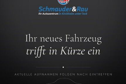 Ford Galaxy 118.000 km 24.490 &euro; Kirchheim/Teck 73230