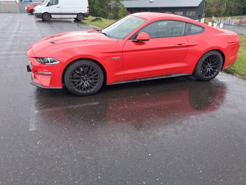 Mustang