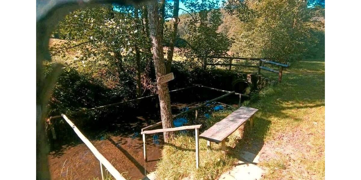 Ferienimmobilie Neukirchen bei Heiligen Blut - 100&euro; | Angebot:11058940