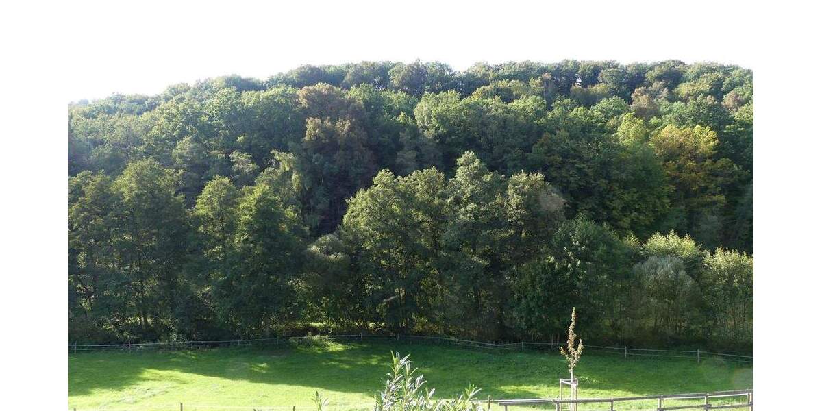 Einfamilienhaus Erbach Schönnen - 5 Zimmer, 110 m&sup2;, 195.000&euro; | Angebot:25768849