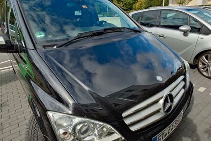 Mercedes Viano