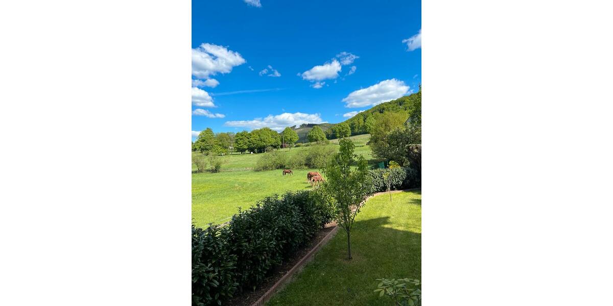 Etagenwohnung Sundern (Sauerland) - 4 Zimmer, 60 m&sup2;, 450&euro; | Angebot:26409894