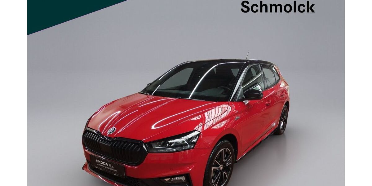 Skoda Fabia 25.000 km 23.790 &euro; Emmendingen 79312