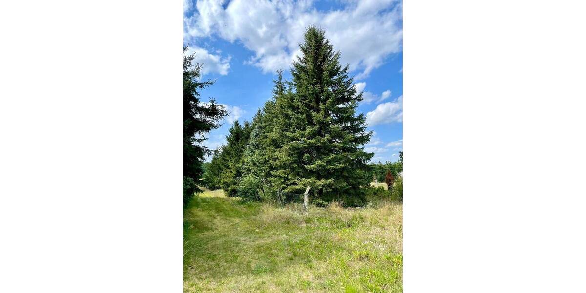 Einfamilienhaus Zahna-Elster Zörnigall - 240.000&euro; | Angebot:25732268