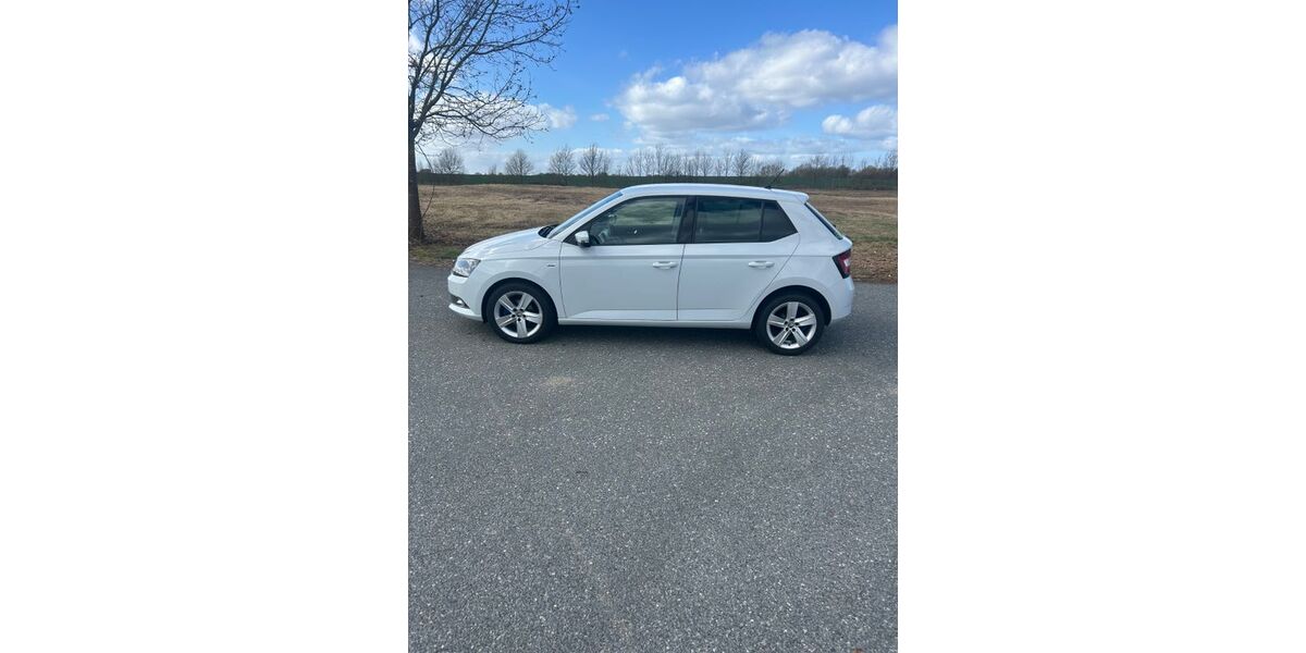 Skoda Fabia 90.000 km 10.500 &euro; Dassow 23942