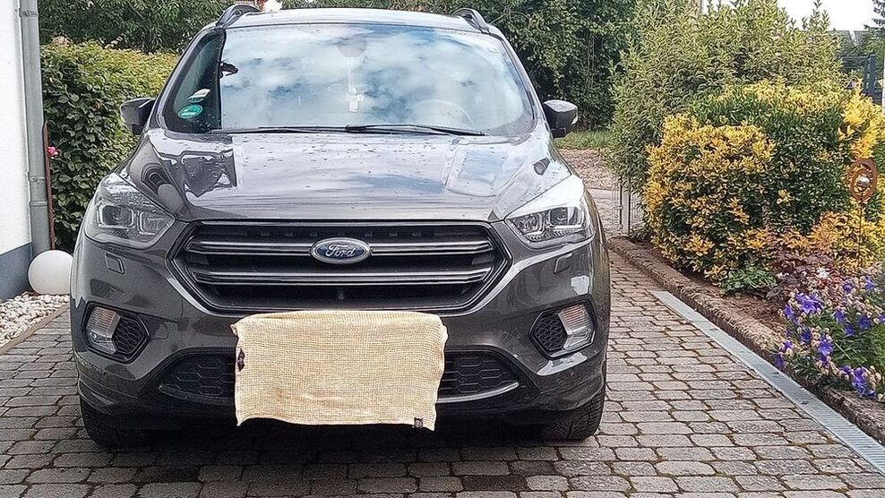 Kuga