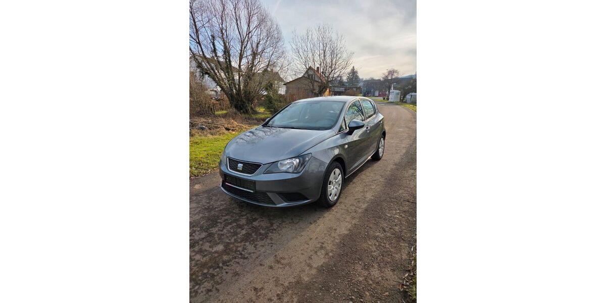 Seat Ibiza 130.000 km 5.900 &euro; Mücke 35325