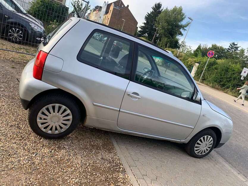 Lupo
