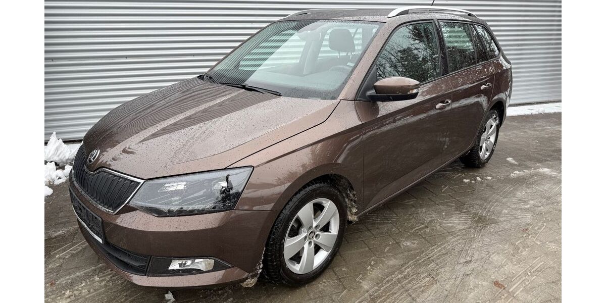 Skoda Fabia 115.844 km 9.990 &euro; Plauen 08527