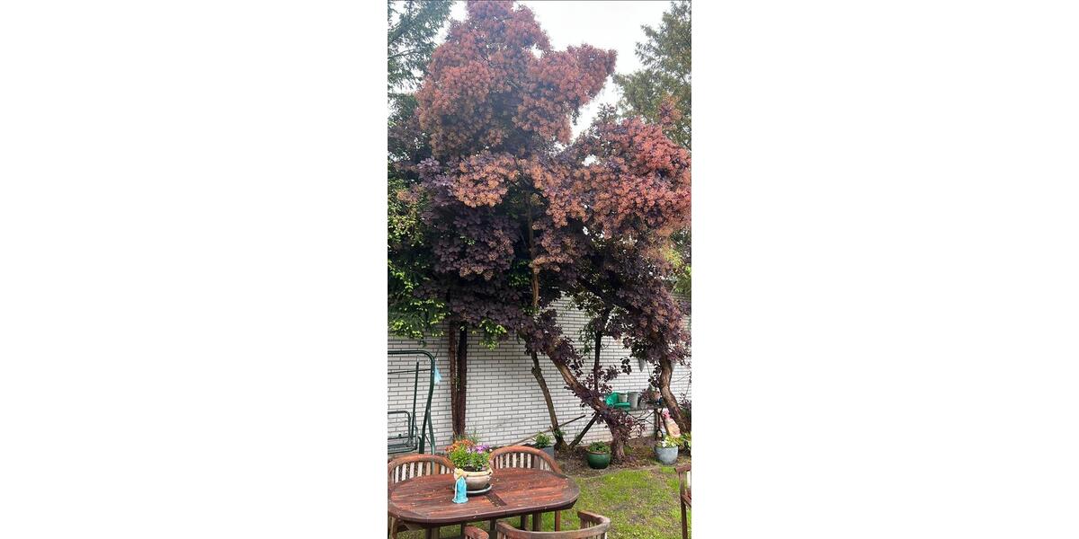 Bungalow Salzbergen - 5 Zimmer, 124 m&sup2;, 305.500&euro; | Angebot:25853622