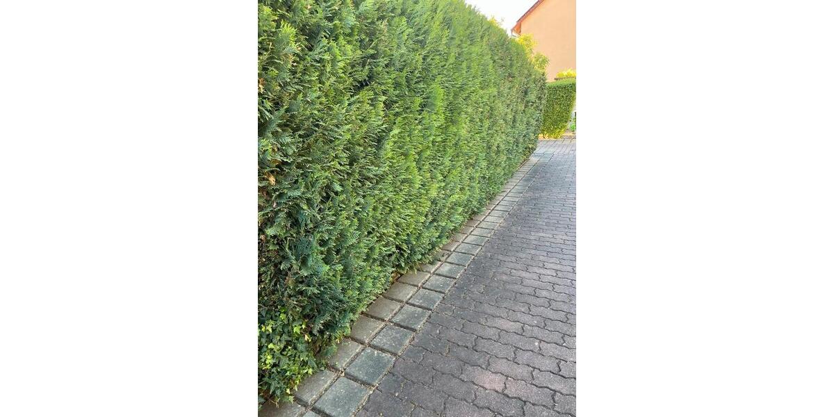 Reihenhaus Nürnberg Gebersdorf - 6.5 Zimmer, 146 m&sup2;, 620.000&euro; | Angebot:26874933