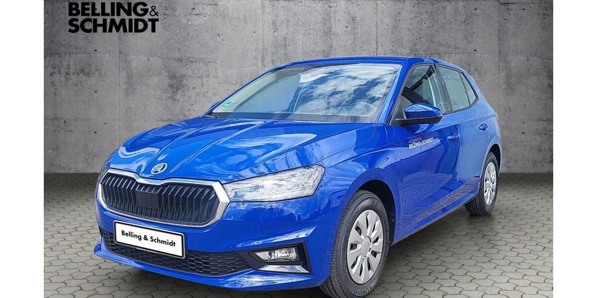 Skoda Fabia 5.000 km 17.490 &euro; Dannenberg 29451