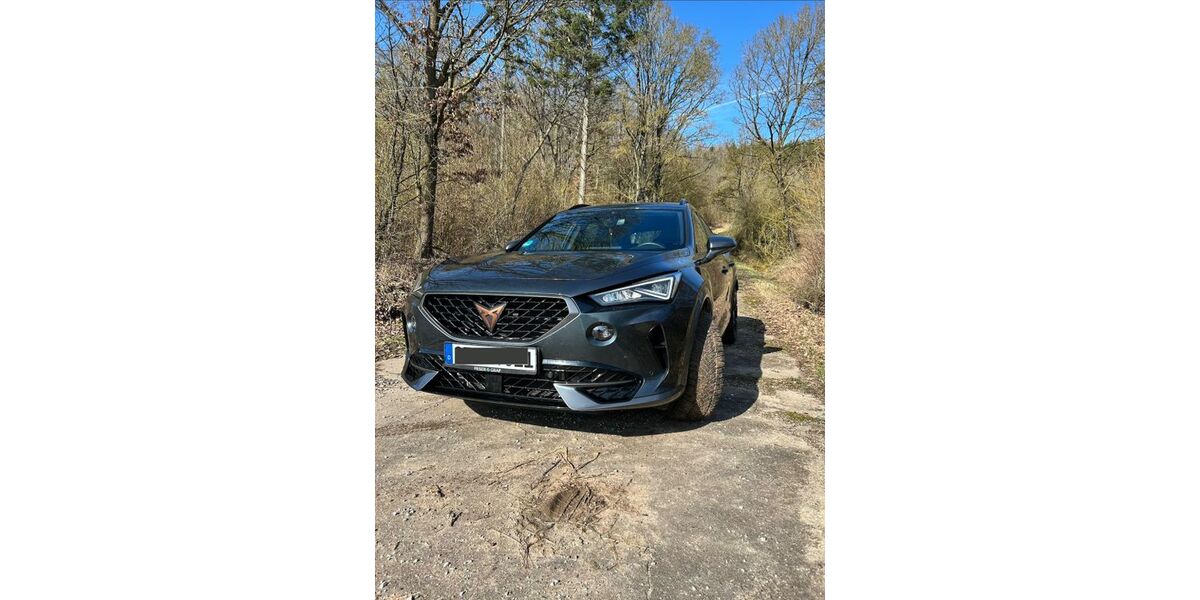 Cupra Formentor 70.000 km 26.500 &euro; Diespeck 91456