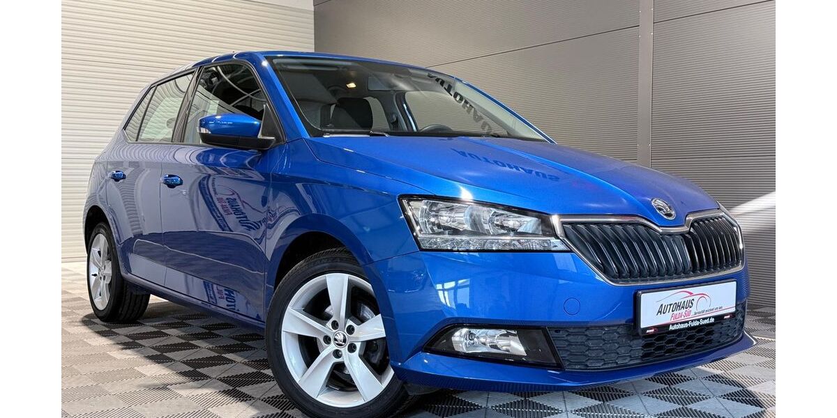 Skoda Fabia 56.500 km 10.970 &euro; Neuhof OT. Dorfborn 36119