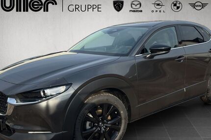 Mazda CX-30 4.099 km 29.904 &euro; Trier 54292