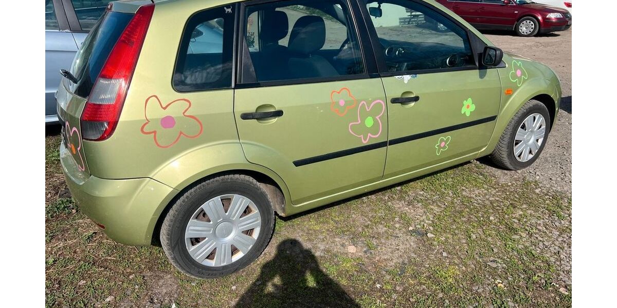 Ford Fiesta 176.000 km 1.250 &euro; Mainz 55116