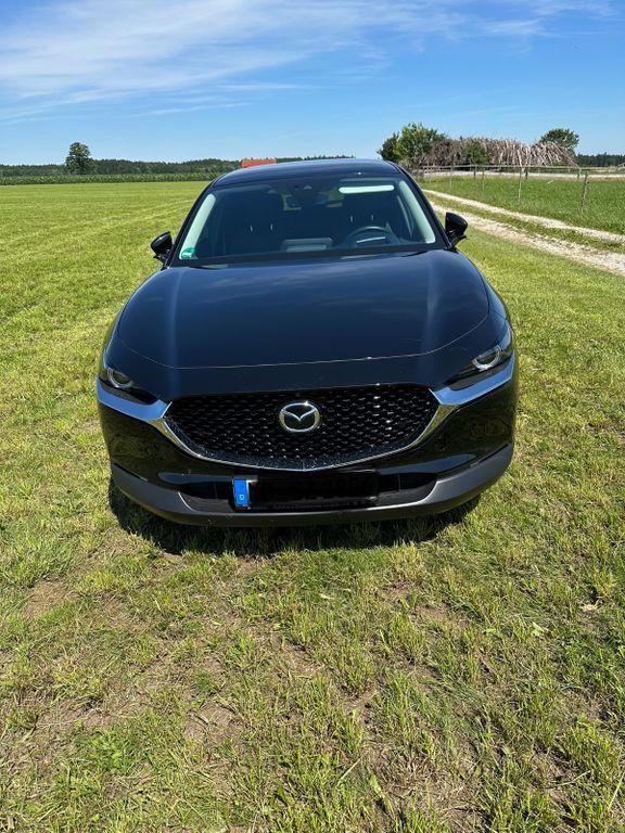 CX-30
