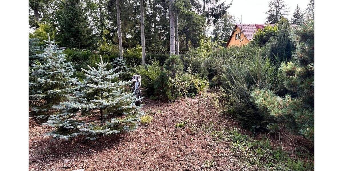 Einfamilienhaus Chemnitz Glösa-Draisdorf - 2 Zimmer, 65 m&sup2;, 225.000&euro; | Angebot:26842057