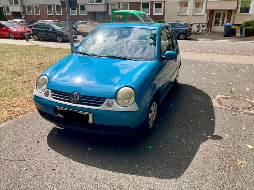 Lupo