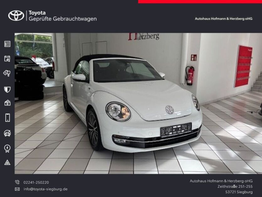Beetle