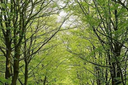 Wohnung Radeberg Ullersdorf - 3 Zimmer, 117 m&sup2;, 417.125&euro; | Angebot:24910904