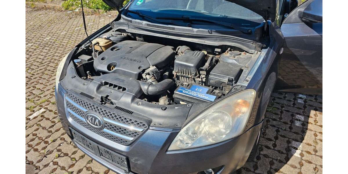 Kia ceed / Ceed 240.000 km 1.000 &euro; Salzgitter 38239