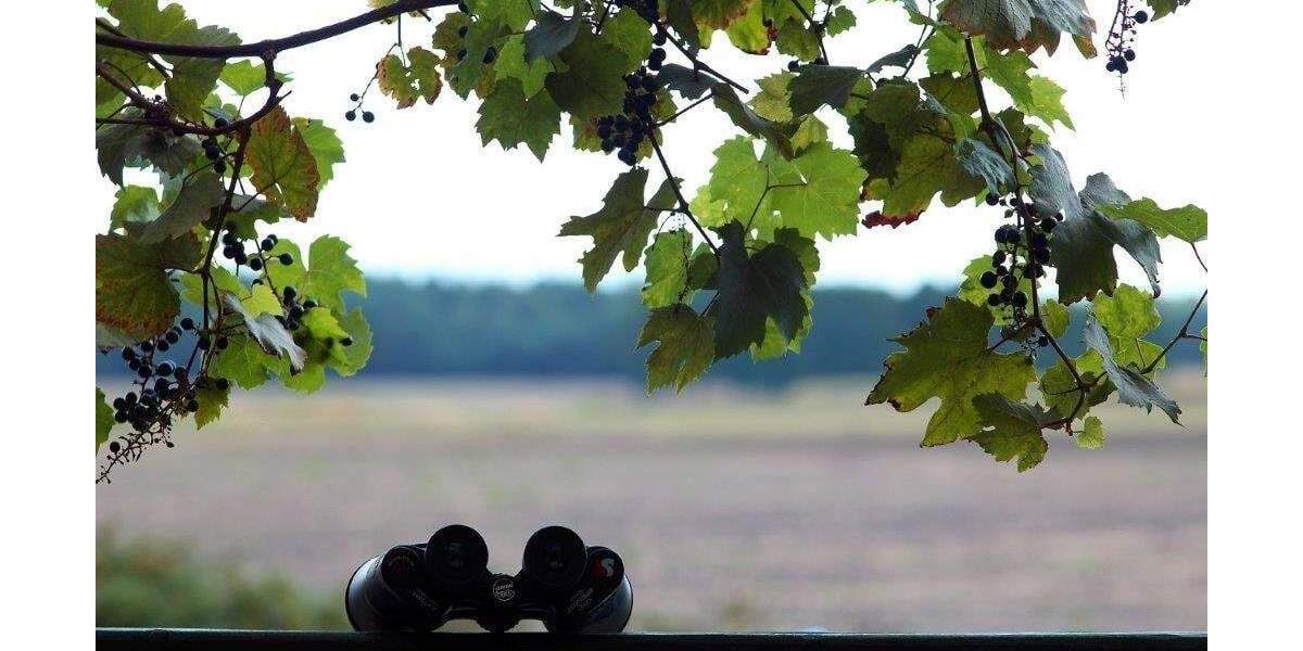 Grundstück Zschepplin Naundorf - 120.000&euro; | Angebot:25735539