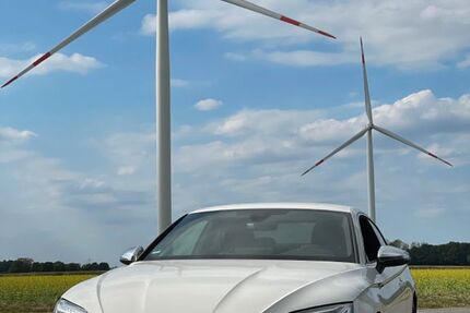 Audi S5 35.000 km 46.300 &euro; Schwarzach 94374