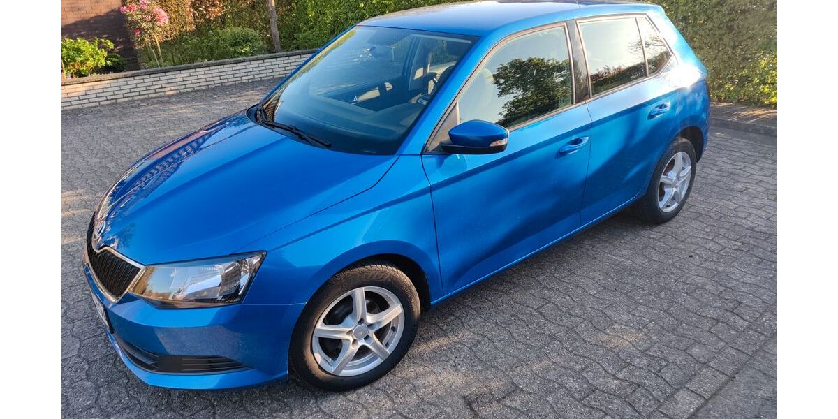 Skoda Fabia 75.356 km 8.800 &euro; Lohne 49393