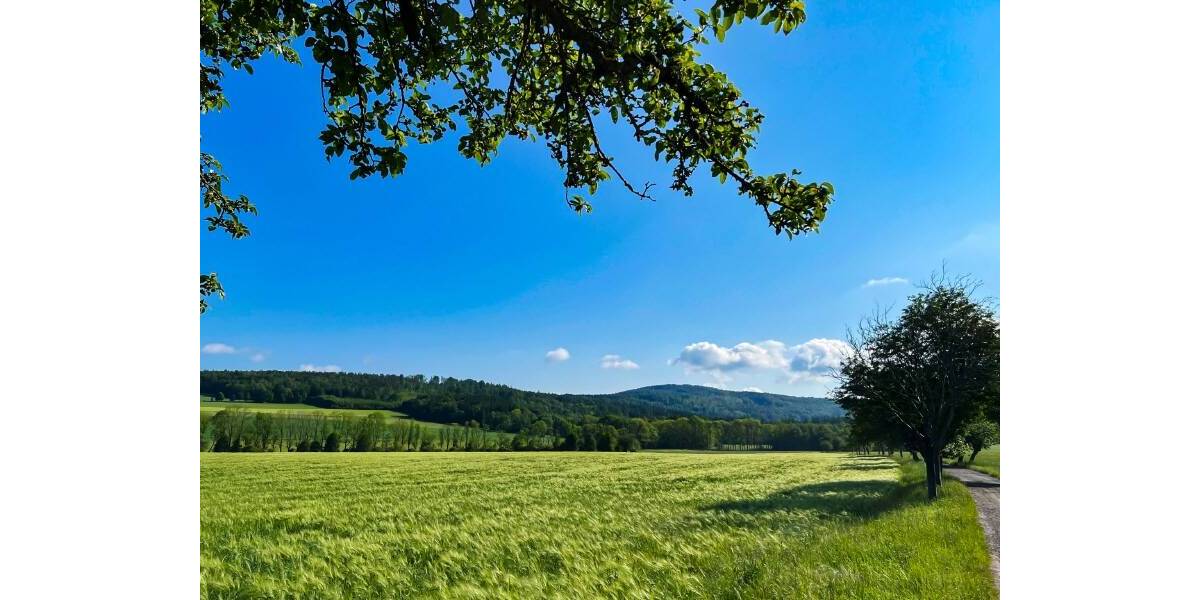 Bauernhaus, Landhaus Neustadt Berthelsdorf - 5 Zimmer, 150 m&sup2;, 485.000&euro; | Angebot:25770653