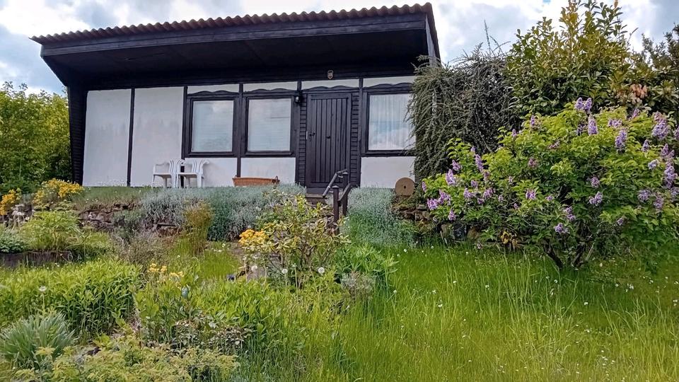 Grundstück Dresden Neustadt - 2.500&euro; | Angebot:26694222