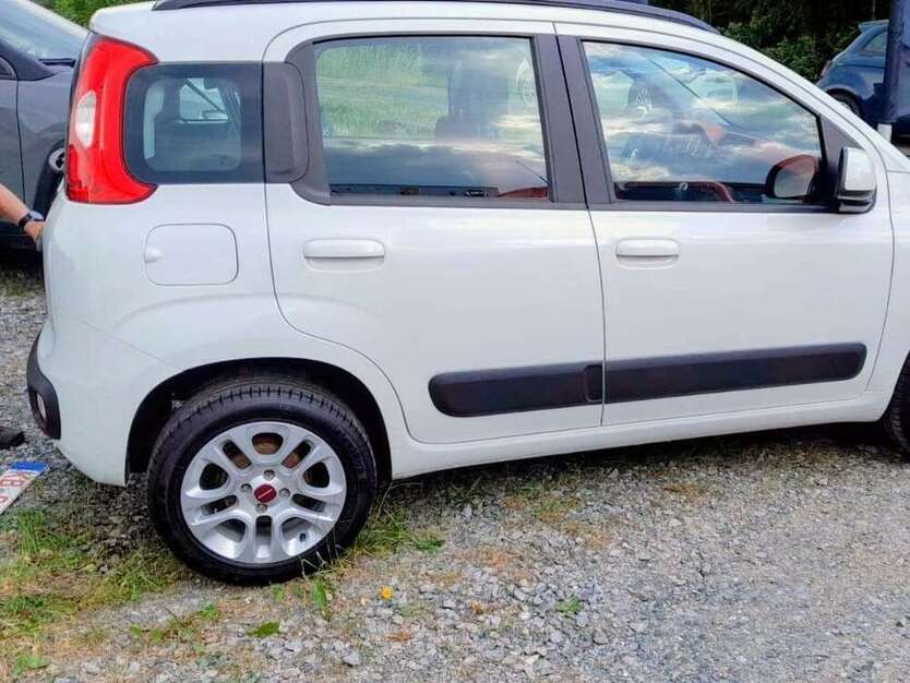 Panda
