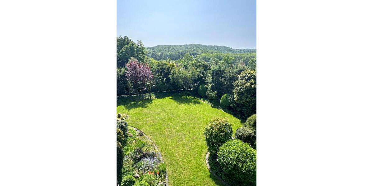 Villa Bad Driburg - 12 Zimmer, 430 m&sup2;, 698.000&euro; | Angebot:22989078