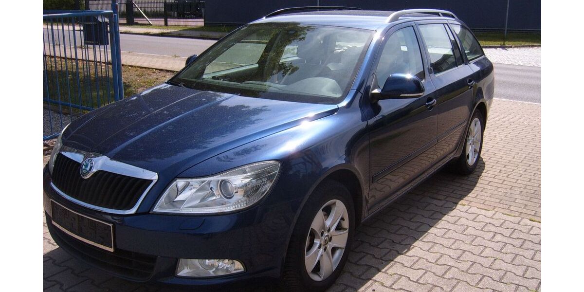 Skoda Octavia 261.296 km 2.590 &euro; Weißwasser 02943