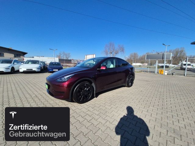 Model Y