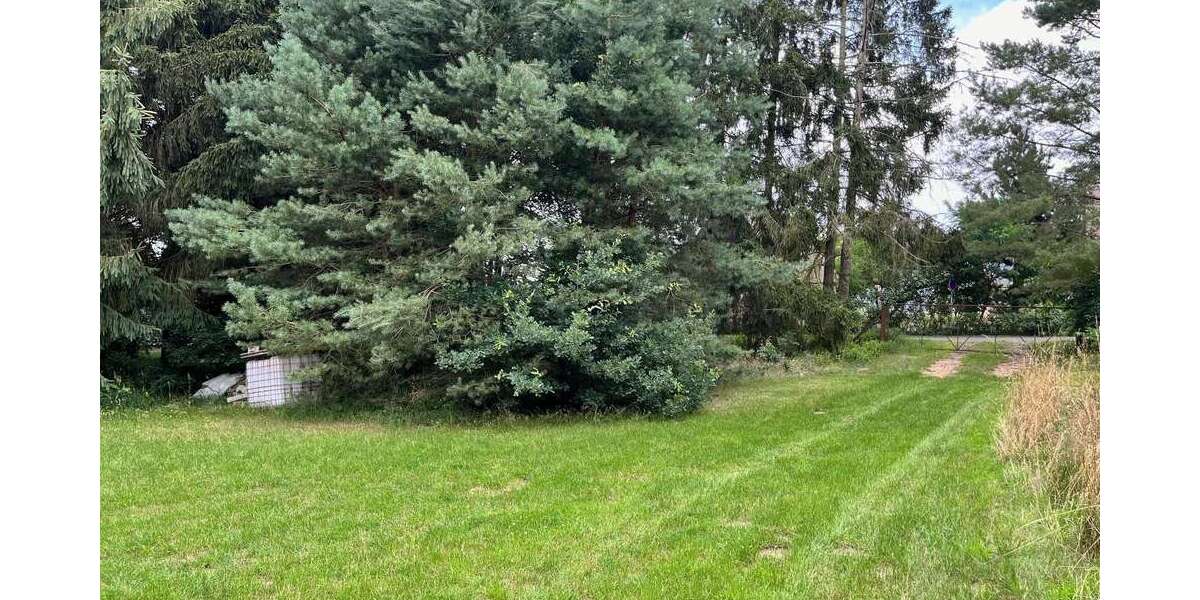 Grundstück Benz - 250.000&euro; | Angebot:23636401