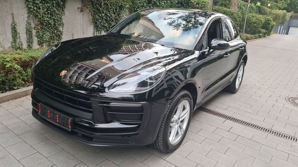 Macan