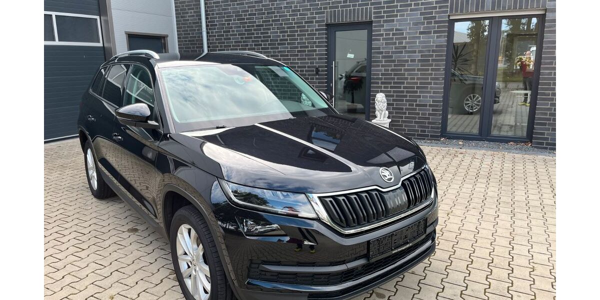 Skoda Kodiaq 231.000 km 14.700 &euro; Neuenhaus 49828