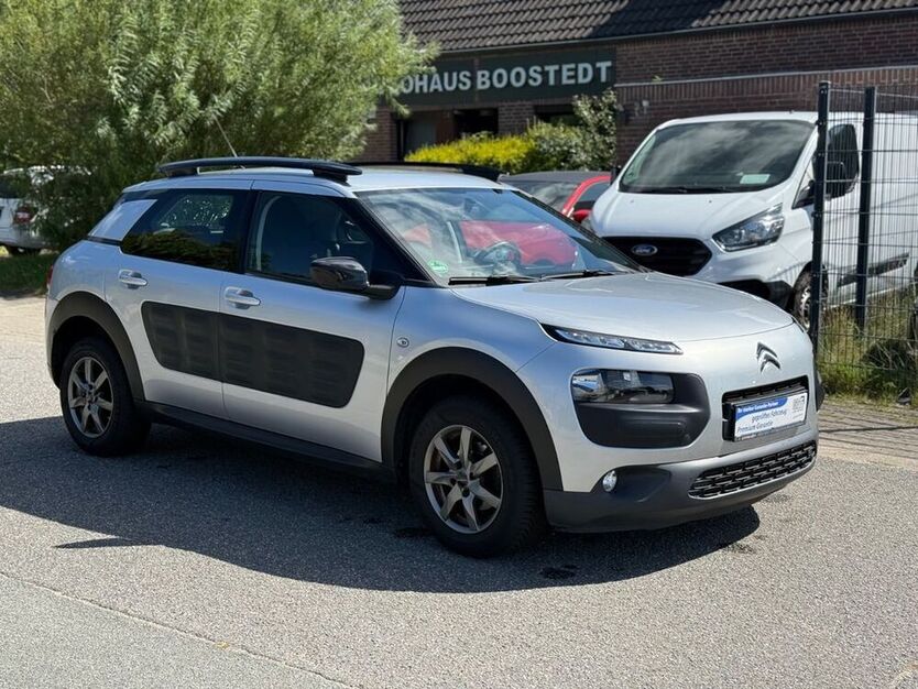 C4 Cactus