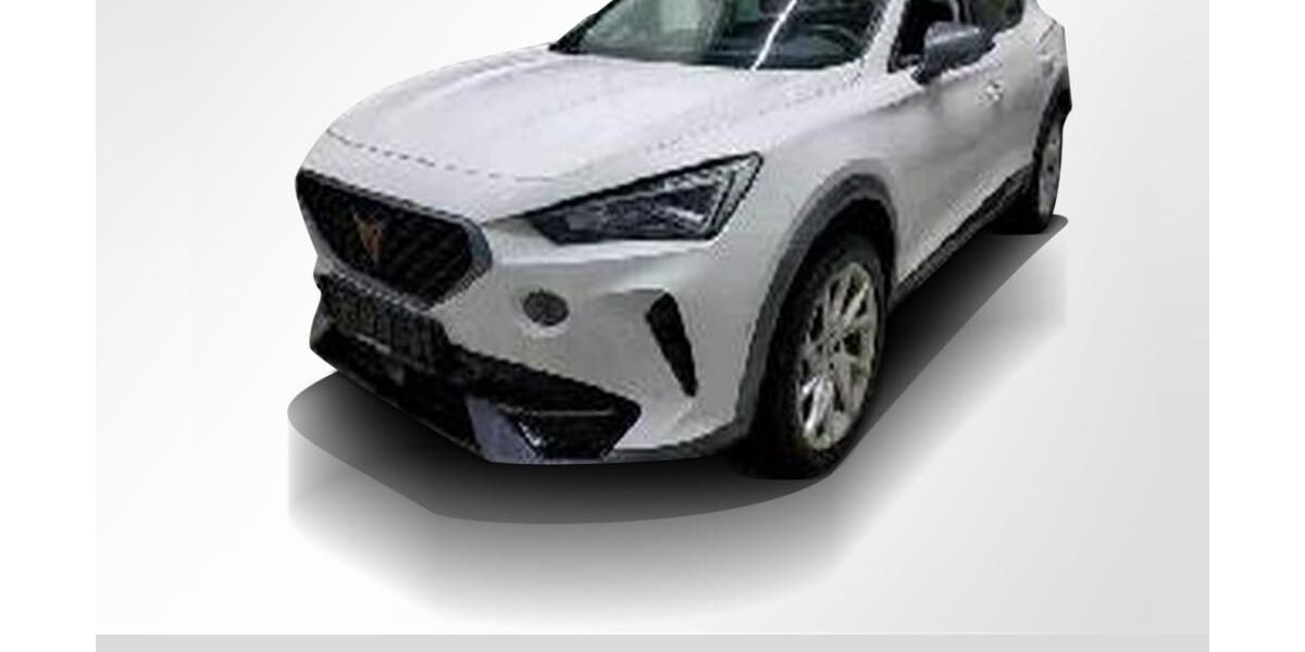 Cupra Formentor 19.854 km 24.750 &euro; Lauf an der Pegnitz 91207