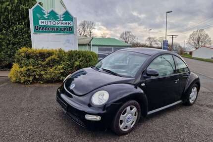 VW New Beetle