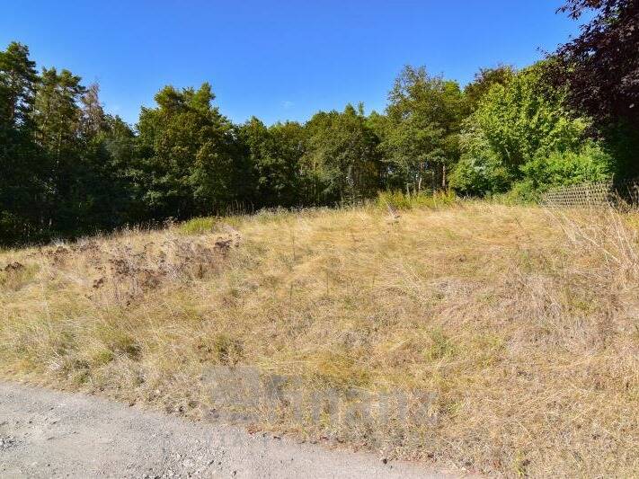 Grundstück Crimmitschau Lauenhain - 115.000&euro; | Angebot:24052214