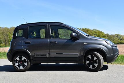 Fiat Panda 26.000 km 10.600 &euro; Blender 27337