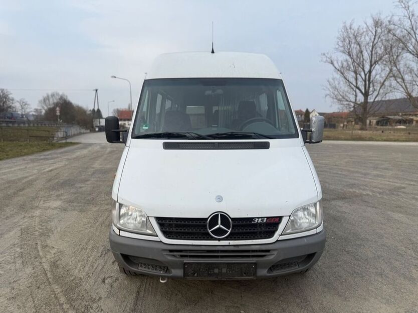 Sprinter